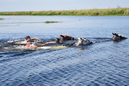 El nado a caballo es una gran experiencia para vivir en Corrientes.