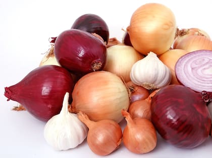 El olor a ajo y a cebolla es intolerable por las serpientes, por lo que podrías rociar el ingreso a tu casa con agua a base de estos dos vegetales