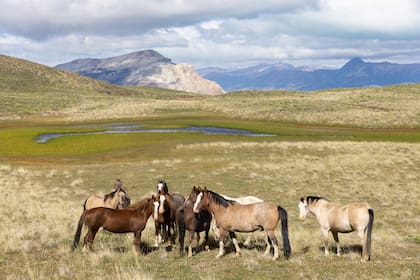 La Hermandad y su propuesta en la estepa patagónica.